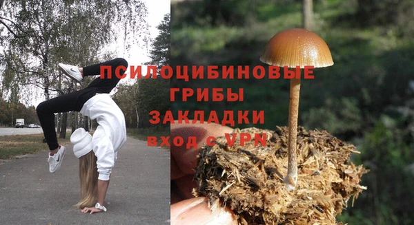 молекула духа Алзамай