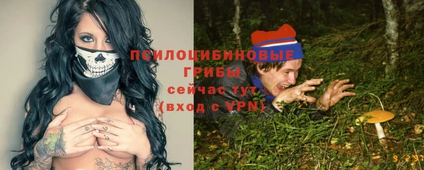 молекула духа Алзамай