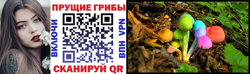 Галлюциногенные грибы Magic Shrooms  купить наркоту  Курчалой 